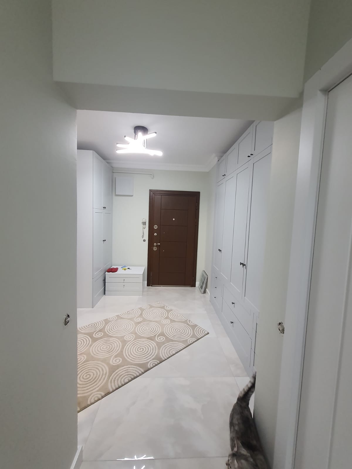 project images